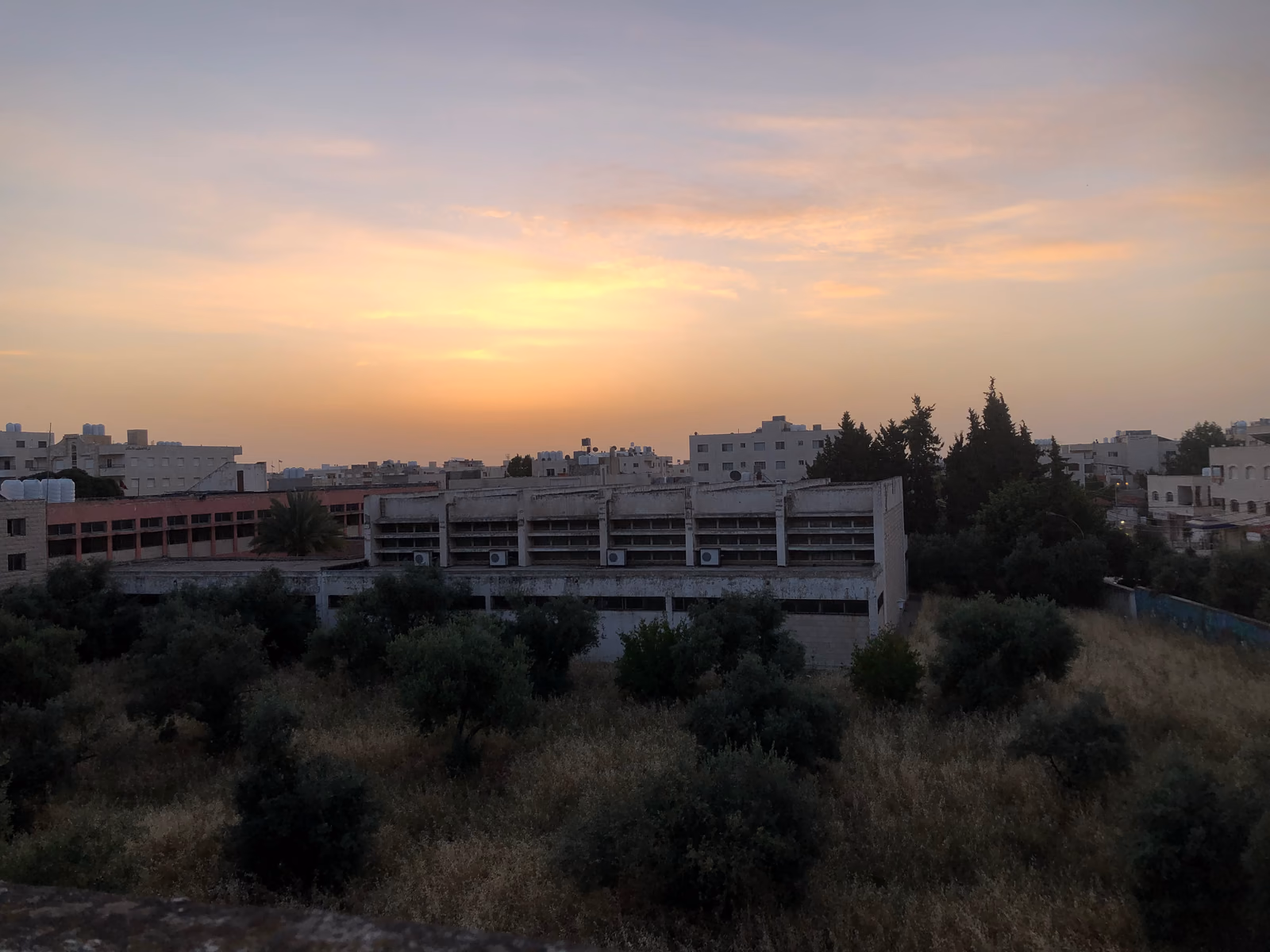 مدينة إربد